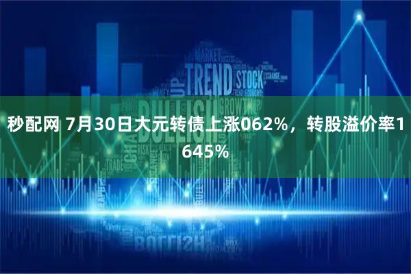 秒配网 7月30日大元转债上涨062%，转股溢价率1645%