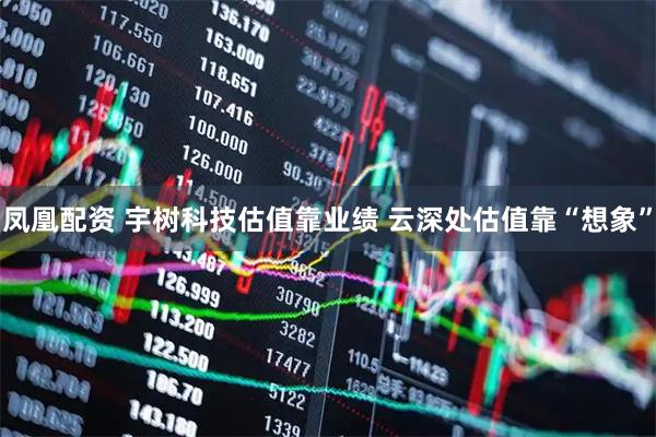 凤凰配资 宇树科技估值靠业绩 云深处估值靠“想象”
